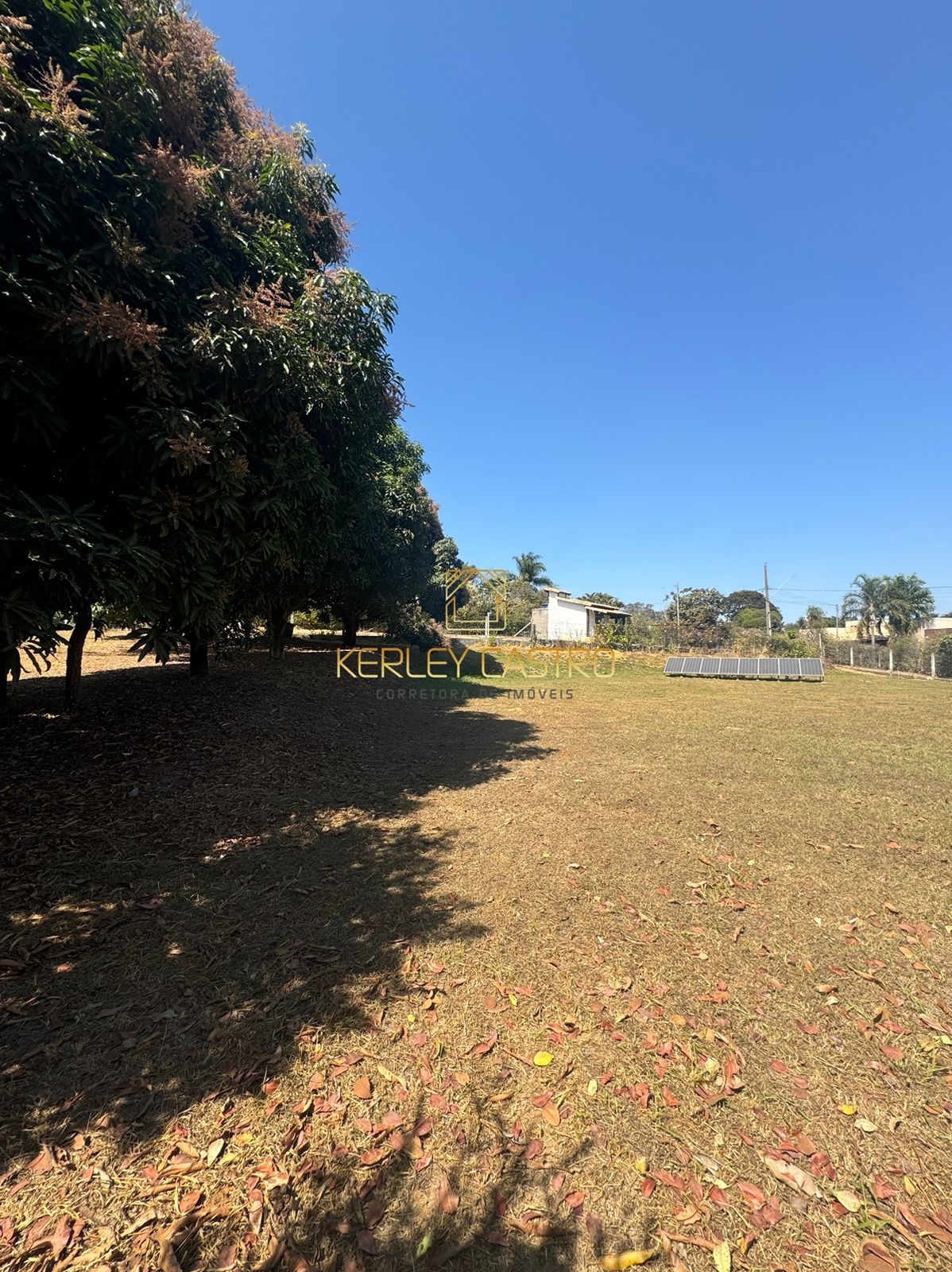 VENDO OU ALUGO-LINDO SÍTIO RURAL-FAZENDA VELHA 